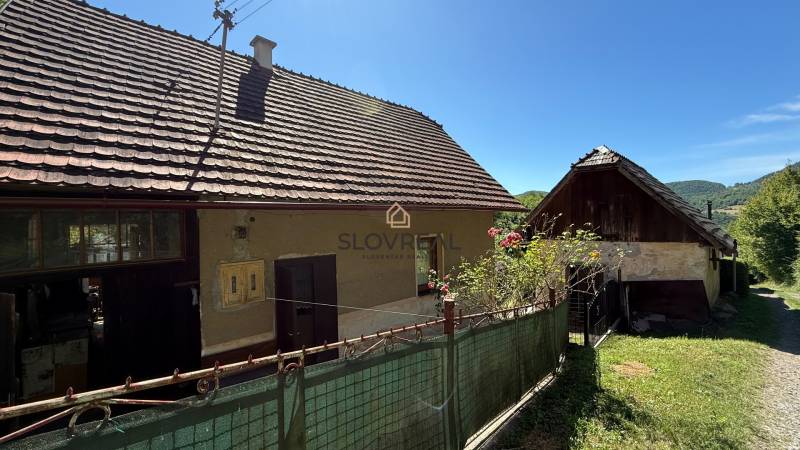IMG_3822.jpeg
