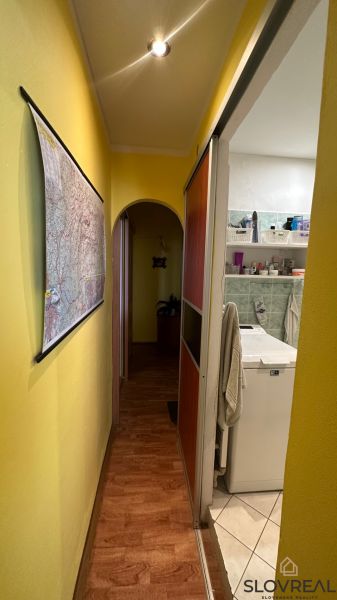 IMG_9946.jpeg