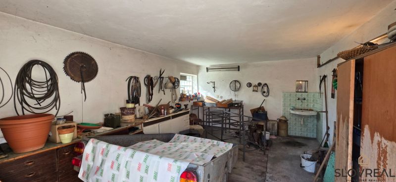 20260526_090223.jpg
