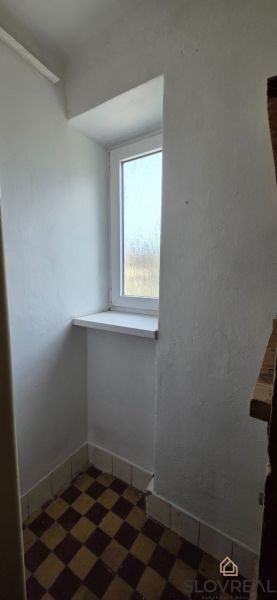 53435.jpg