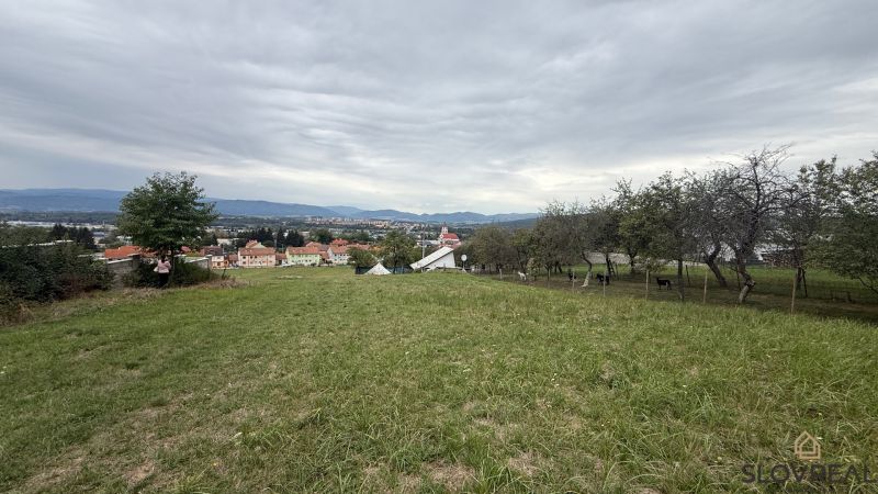 IMG_6145.jpeg